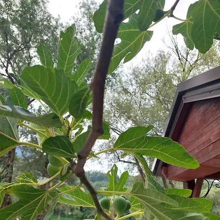 Bosanska Kuca Emina * Bihać