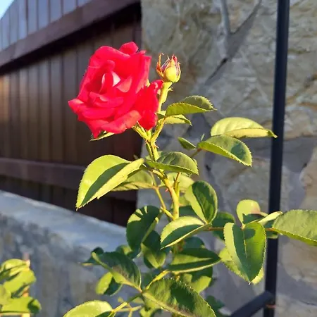 Bosanska Kuca Emina *