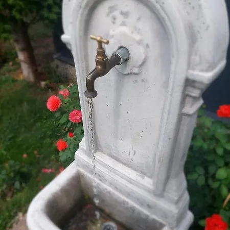 Vila Bosanska Kuca Emina